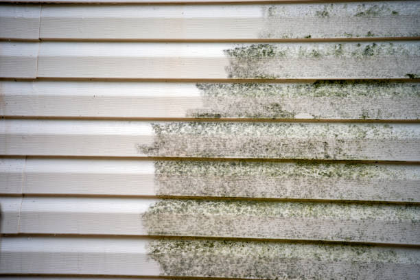 Best Property Management Cleanouts  in Montgomery, WV